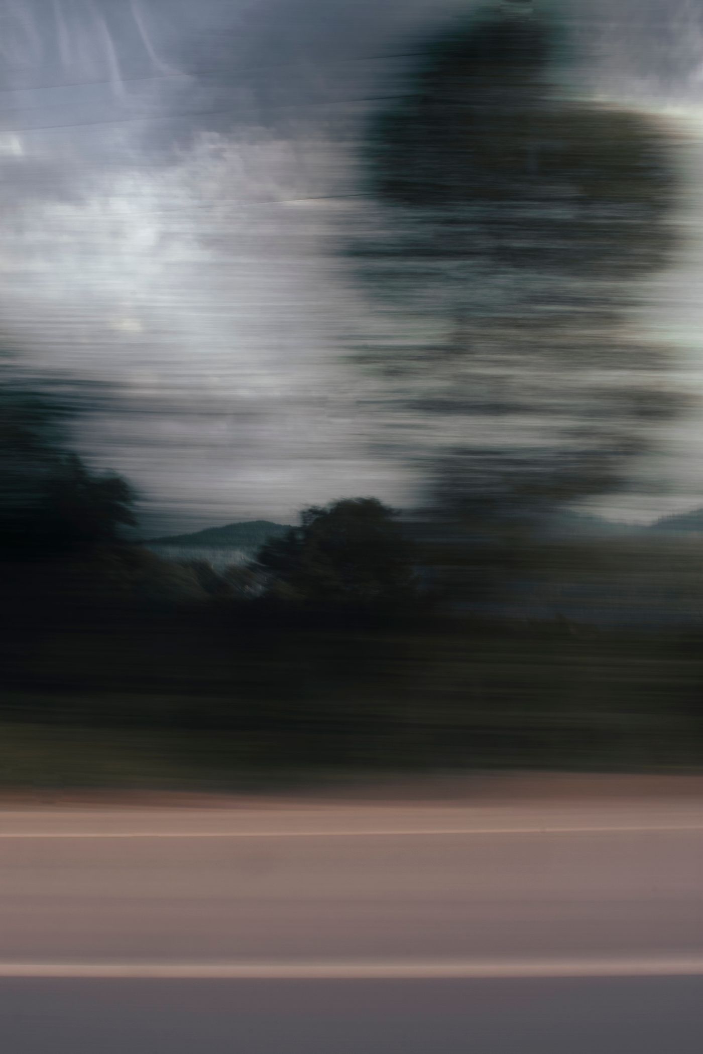 Filé d'arbres photographié en mouvement, image abstraite