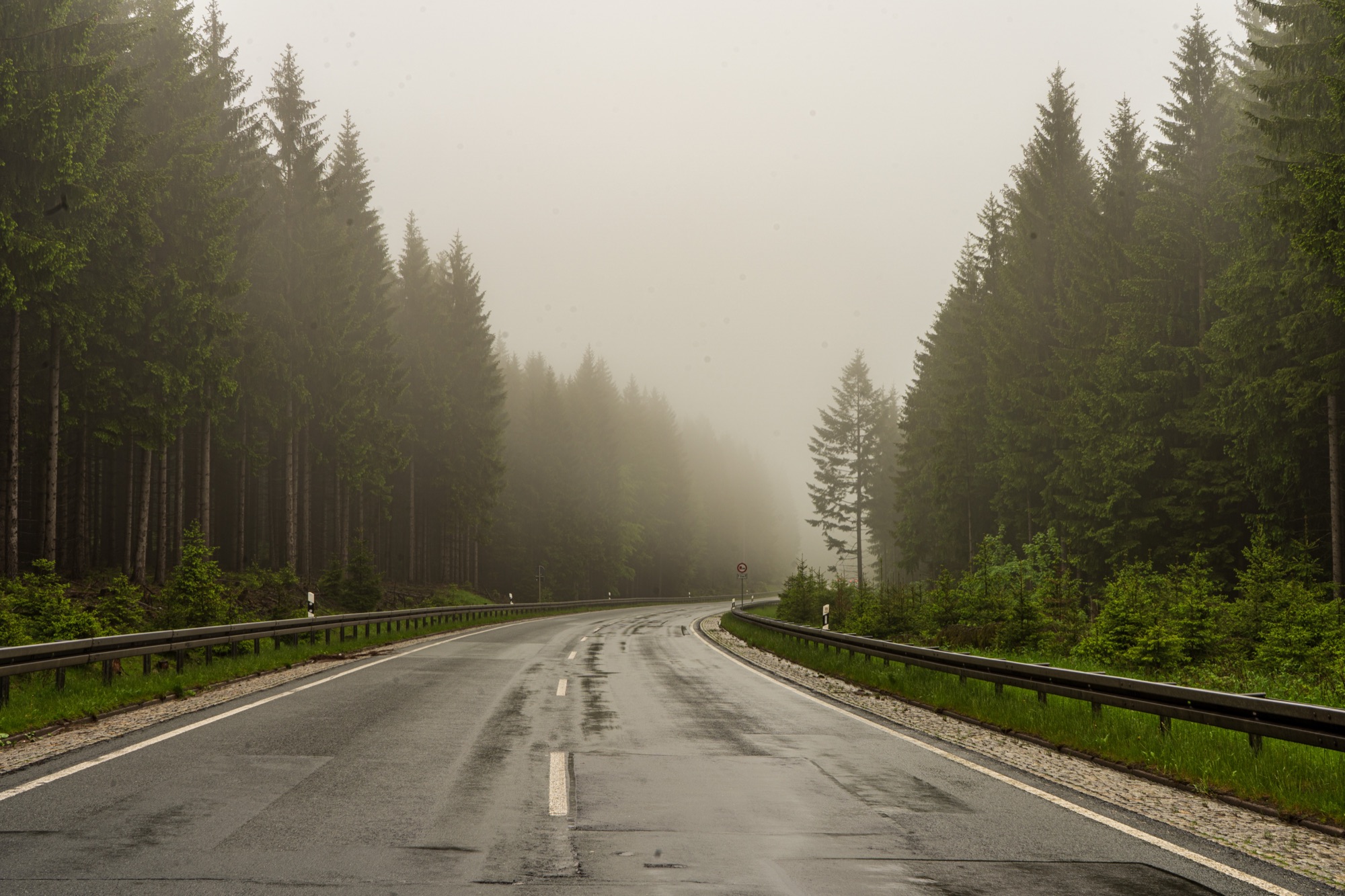 Route traversant une forêt de sapins dans la brume
