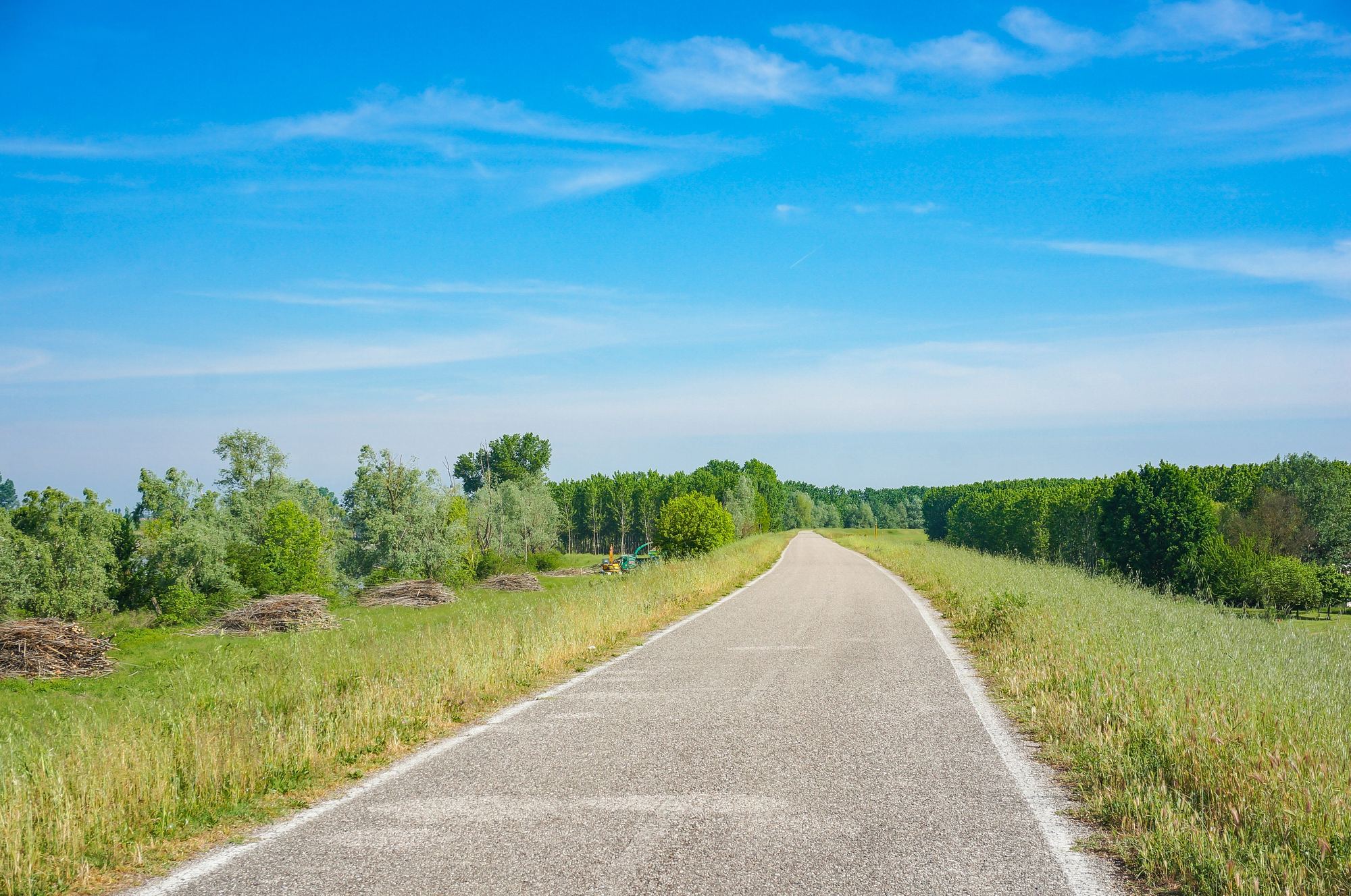 Route bordée d'arbres verts sous un ciel bleu