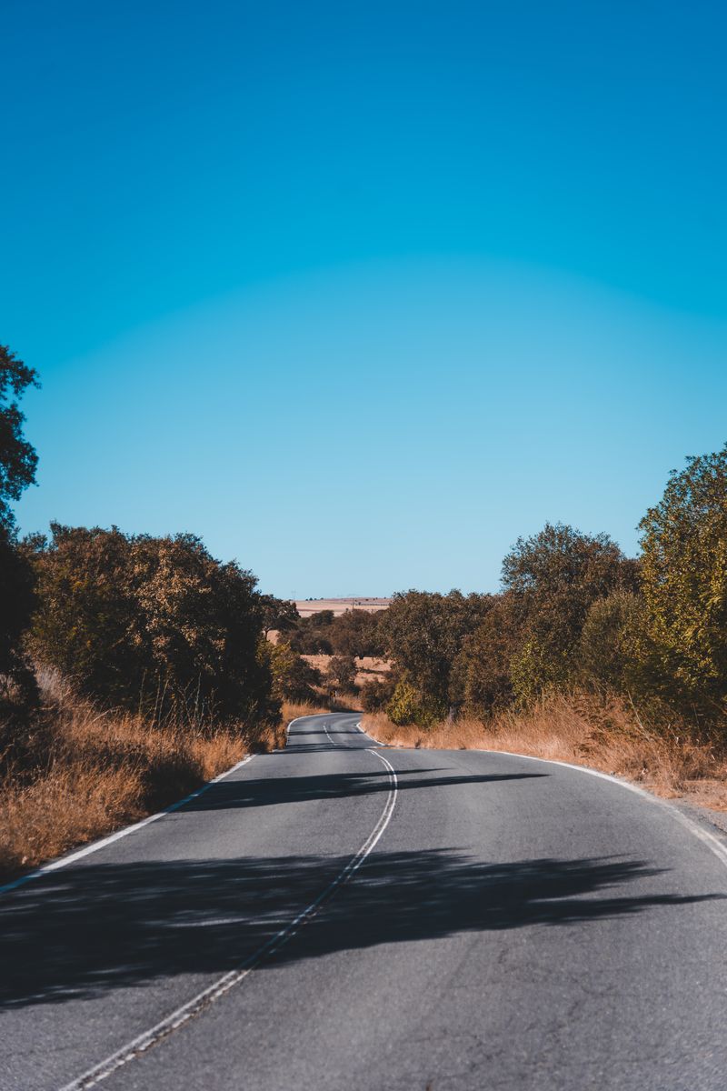 Route vide par une journée ensoleillée