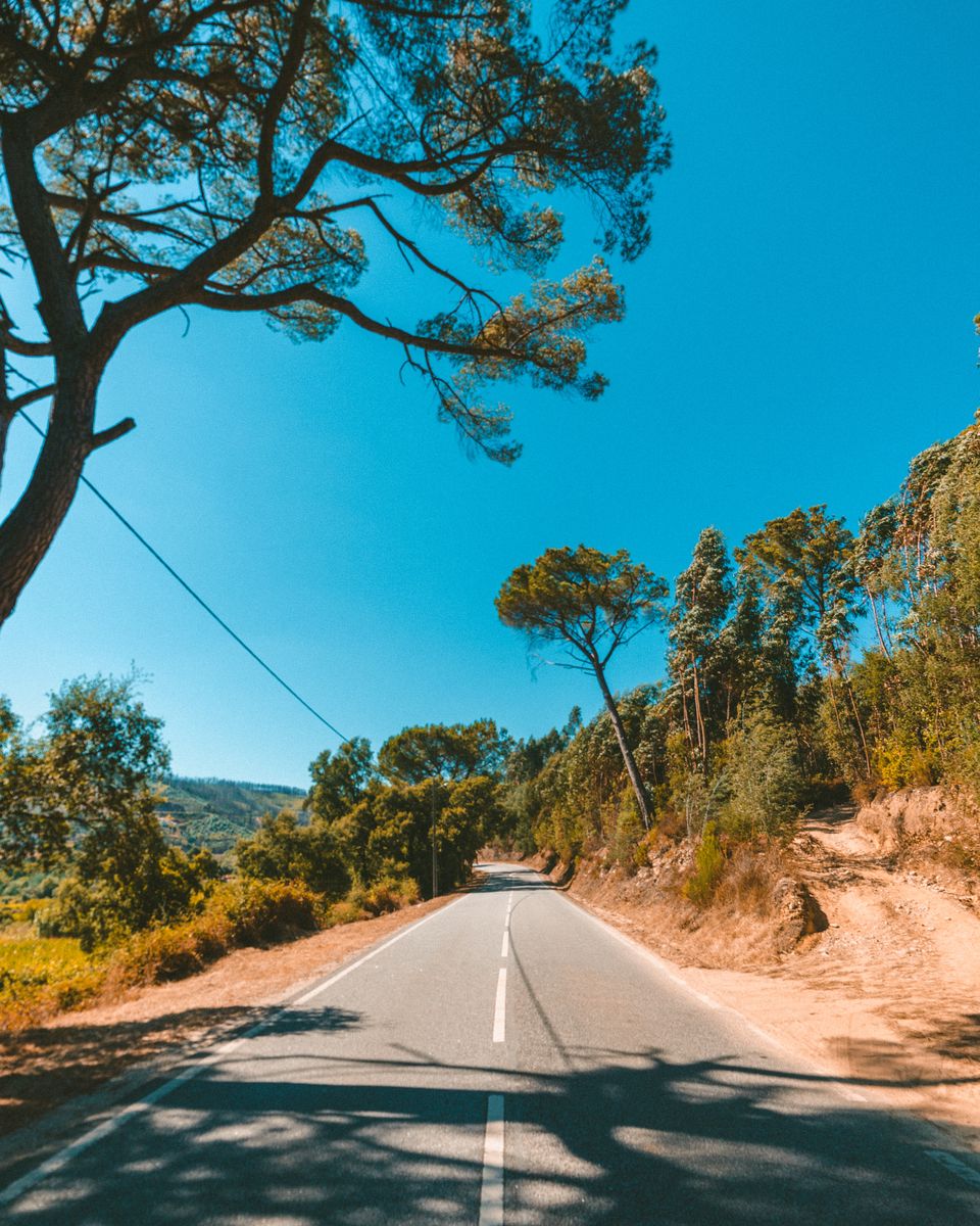 Conduite sans permis