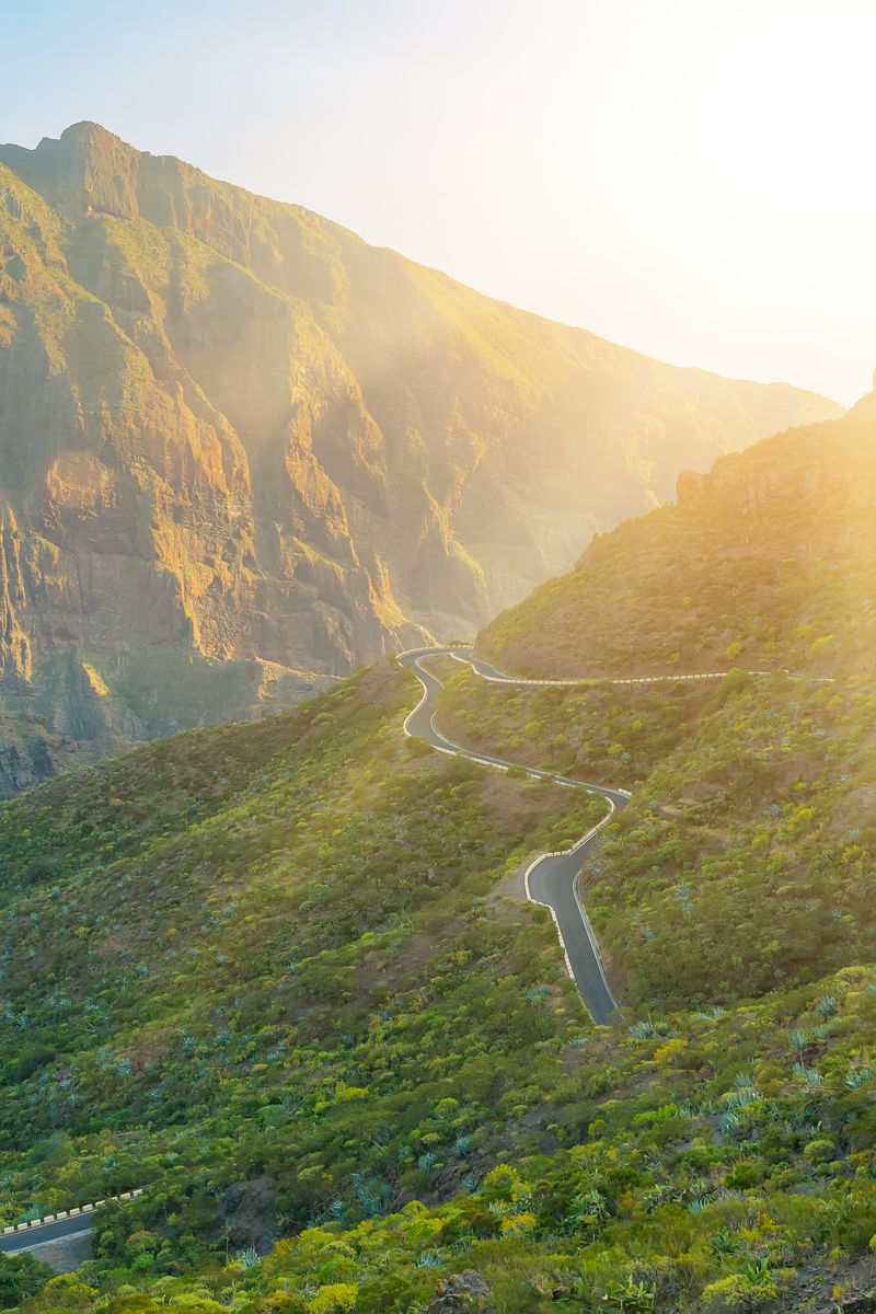 Route de montagne sinueuse dans la lumière du matin
