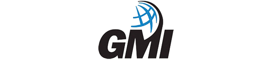 Text 'GMI' with a stylized blue globe with grid lines appearing to emerge from the letter 'I' on a white background.