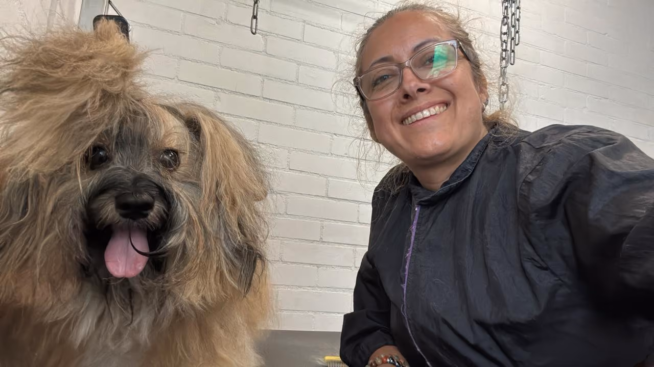Hond tijdens een rustige trimbehandeling bij Hondenstyliste MOOI