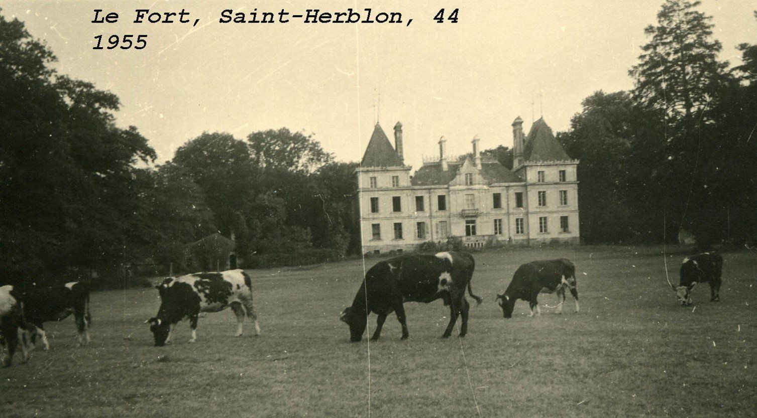 Carte postale de 1955 du Château l'Escale, avant l'arrivée de Céline et Vincent