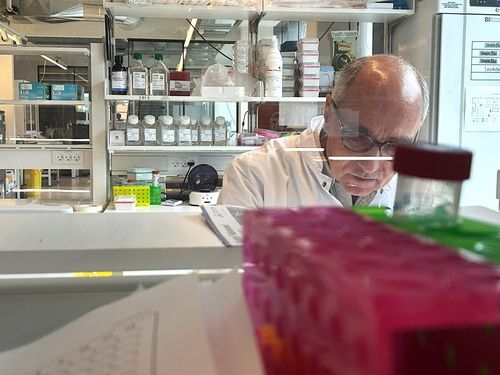 From Cell Biology to a Translatable Therapy