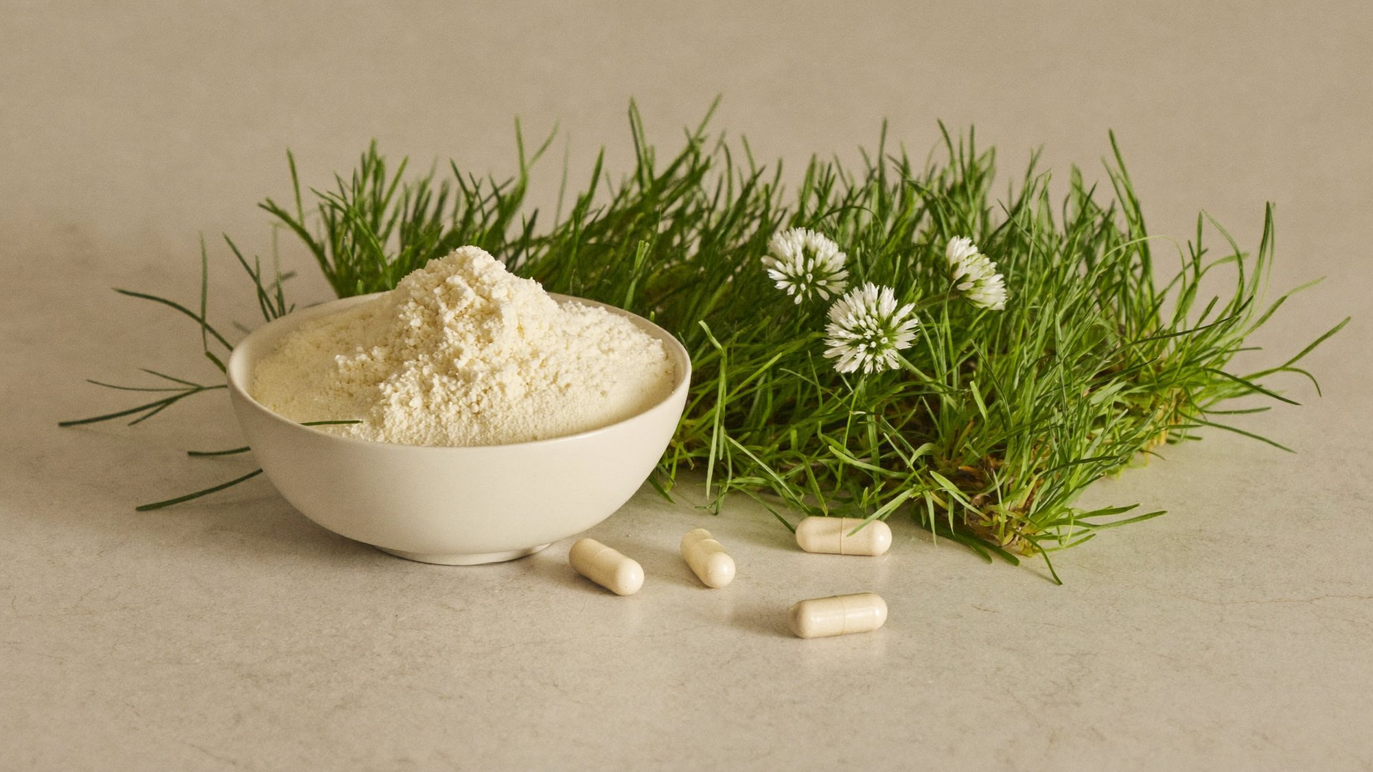 Collagen powder in a bowl beside fresh pasture grass, clover flowers and capsules