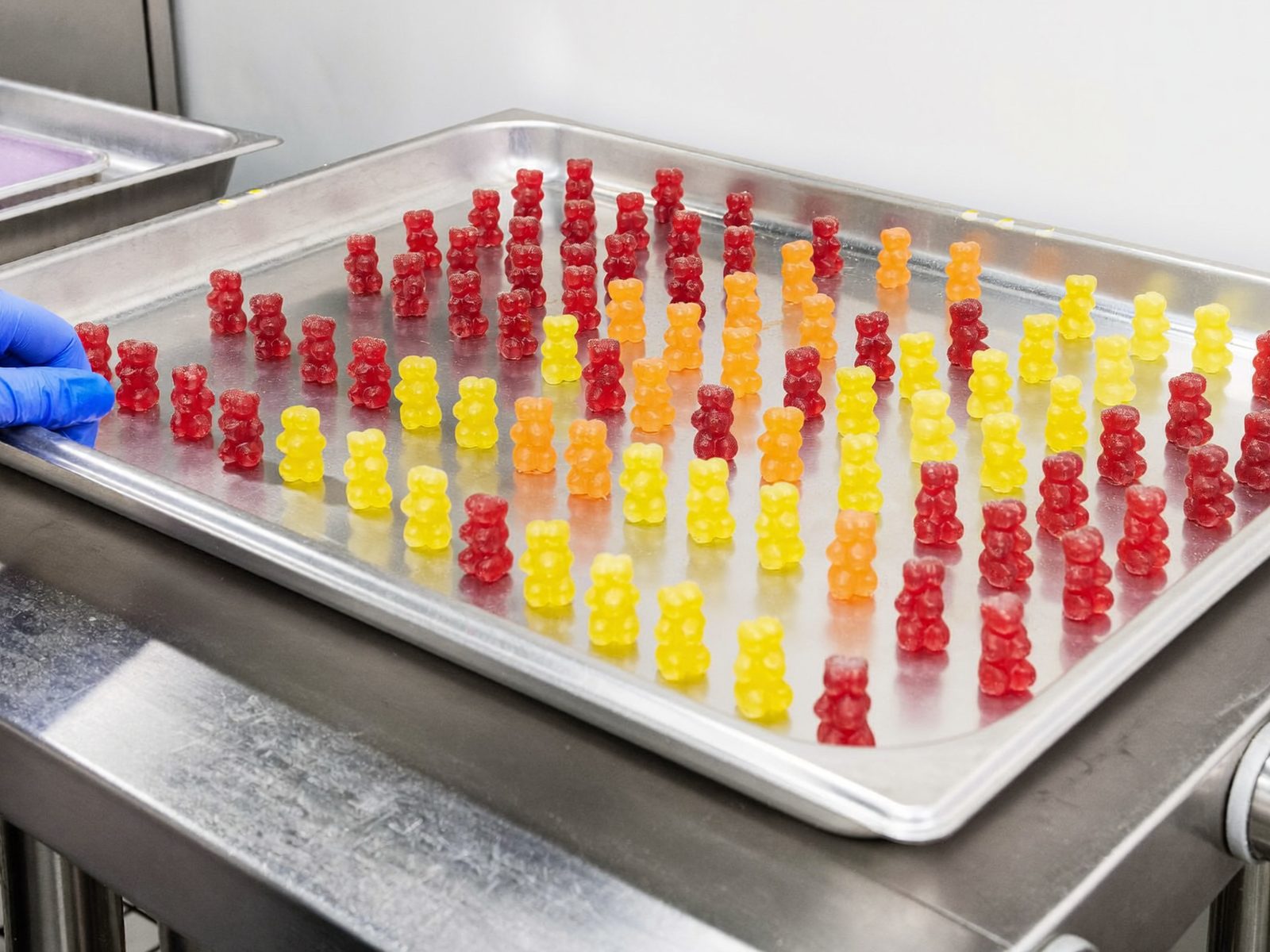 Stainless tray of small gummy bears on a bench in the gummy production room, a gloved hand at the tray edge