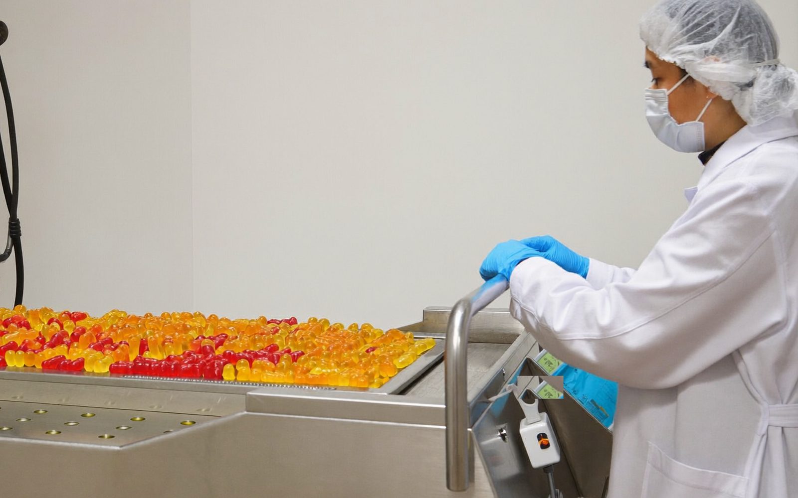 Gowned technician watching small gummy bears leave the depositor onto a stainless conveyor