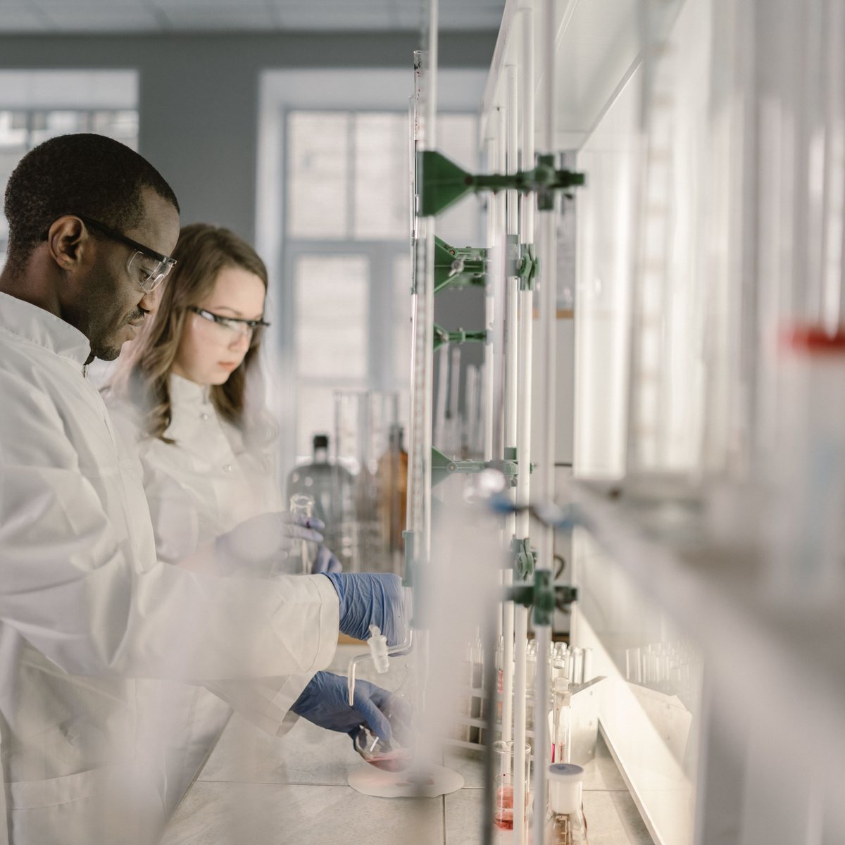 Lab team working together on a client formula