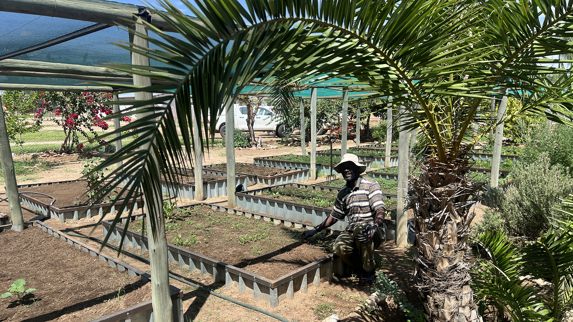 Mr Marcelus Guim der garden assistant leistet großartige Arbeit,
