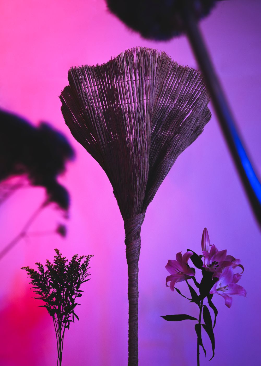 El pliegue de una flor