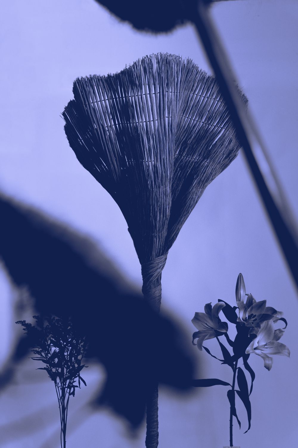 The Petal of a Flower