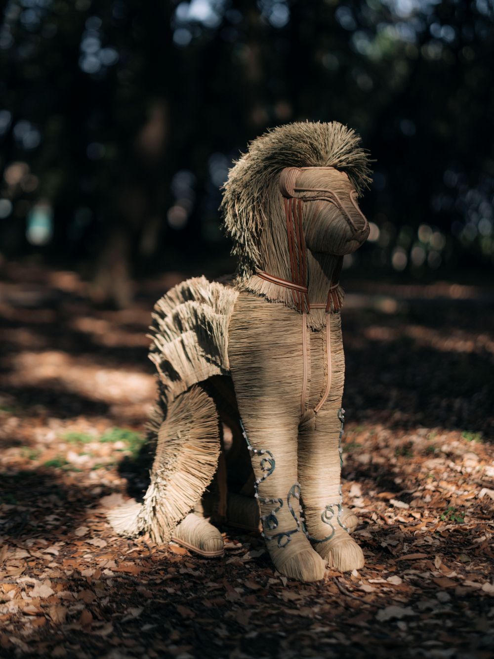 The Lion