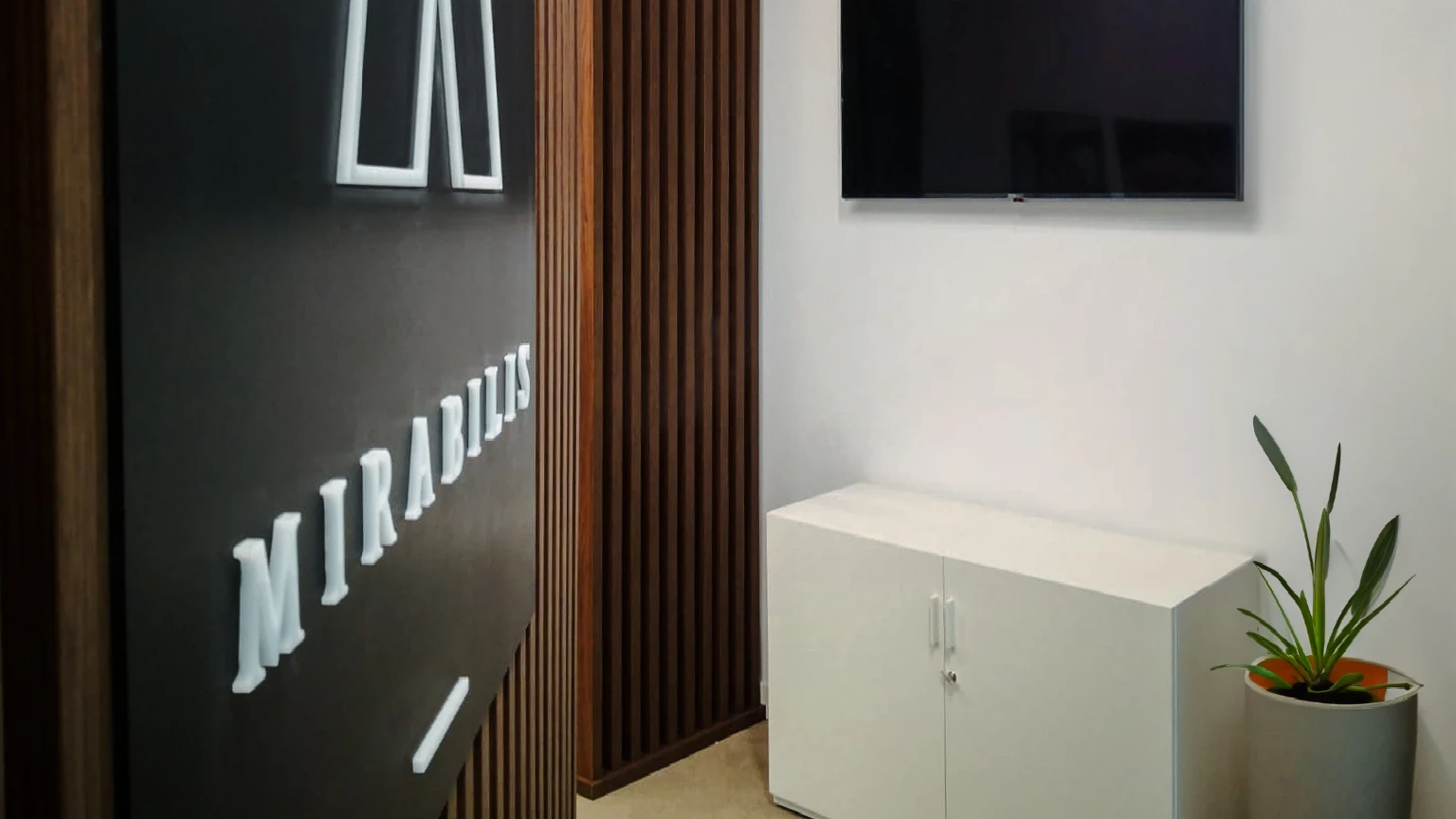 Mirabilis office interior – main photo