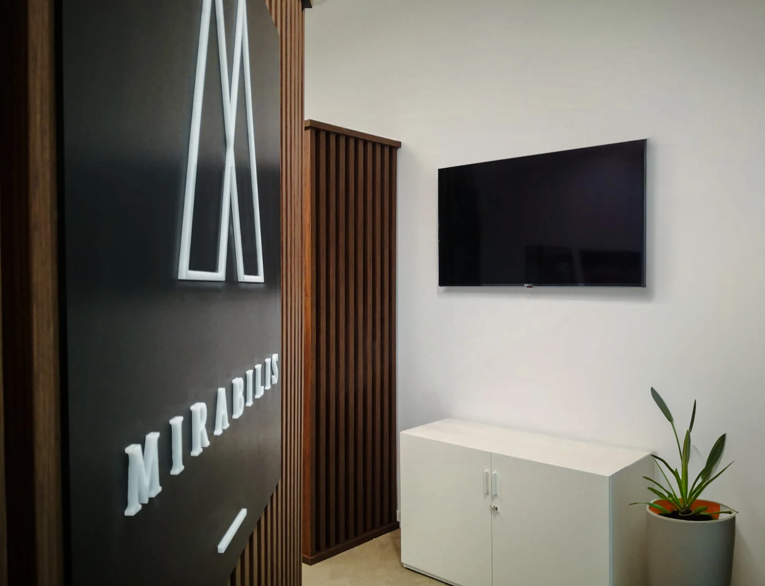 Mirabilis office interior – photo 4