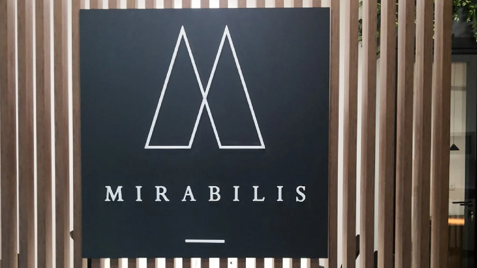 Mirabilis office interior – photo 3