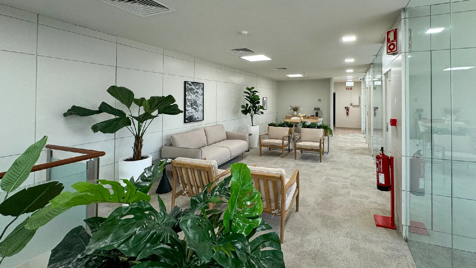 Ordem dos Psicólogos office interior – photo 10