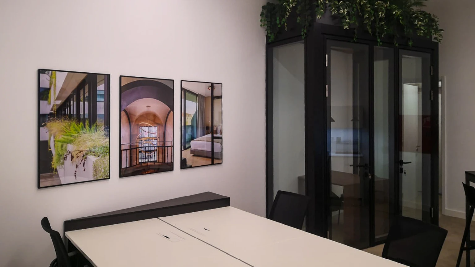 Mirabilis office interior – photo 7