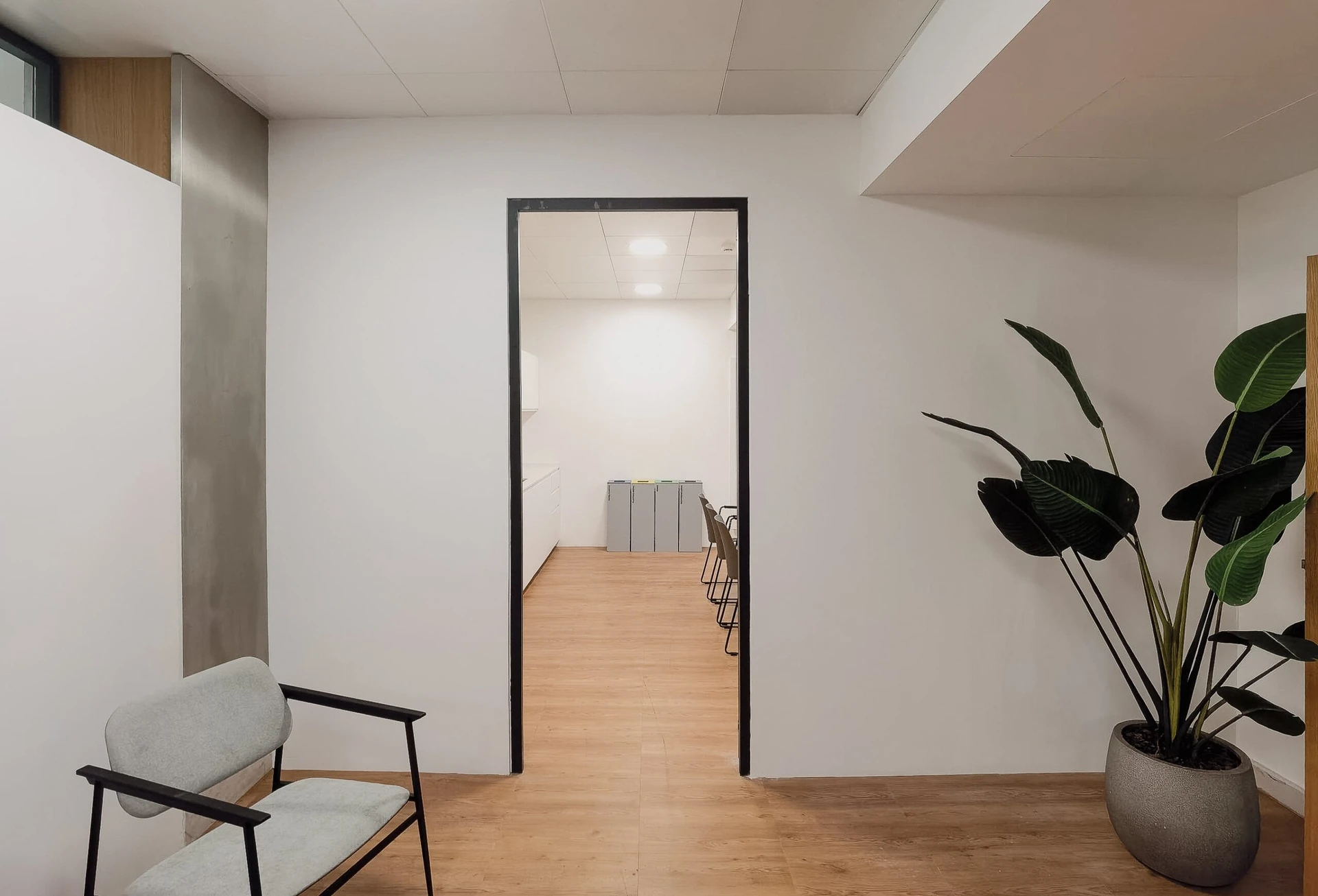 WSA Audiology Workplace