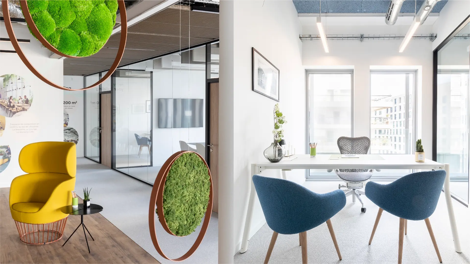 Project Design & Build Workplace Magic