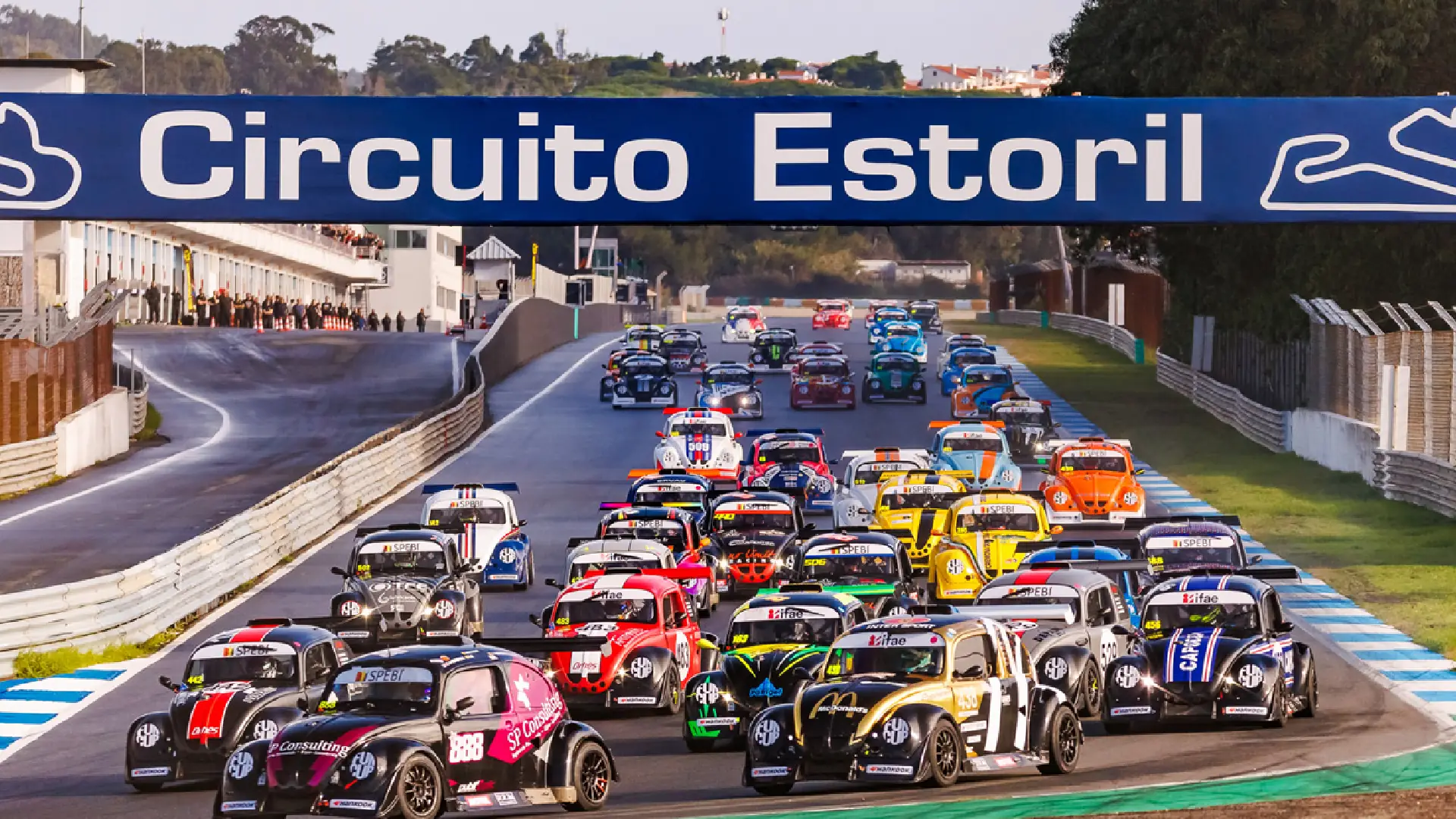 Fun Cup Race