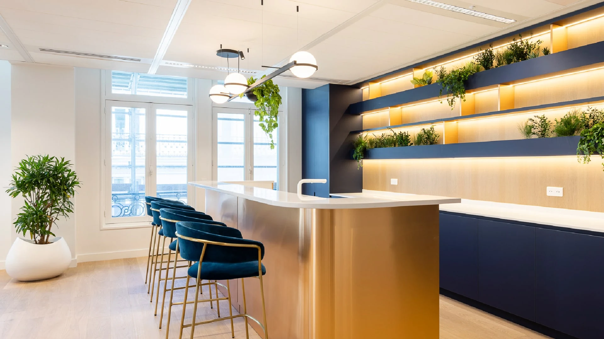 Bright office kitchen and bar area with a wooden counter, blue velvet bar stools and planted shelves with warm lighting