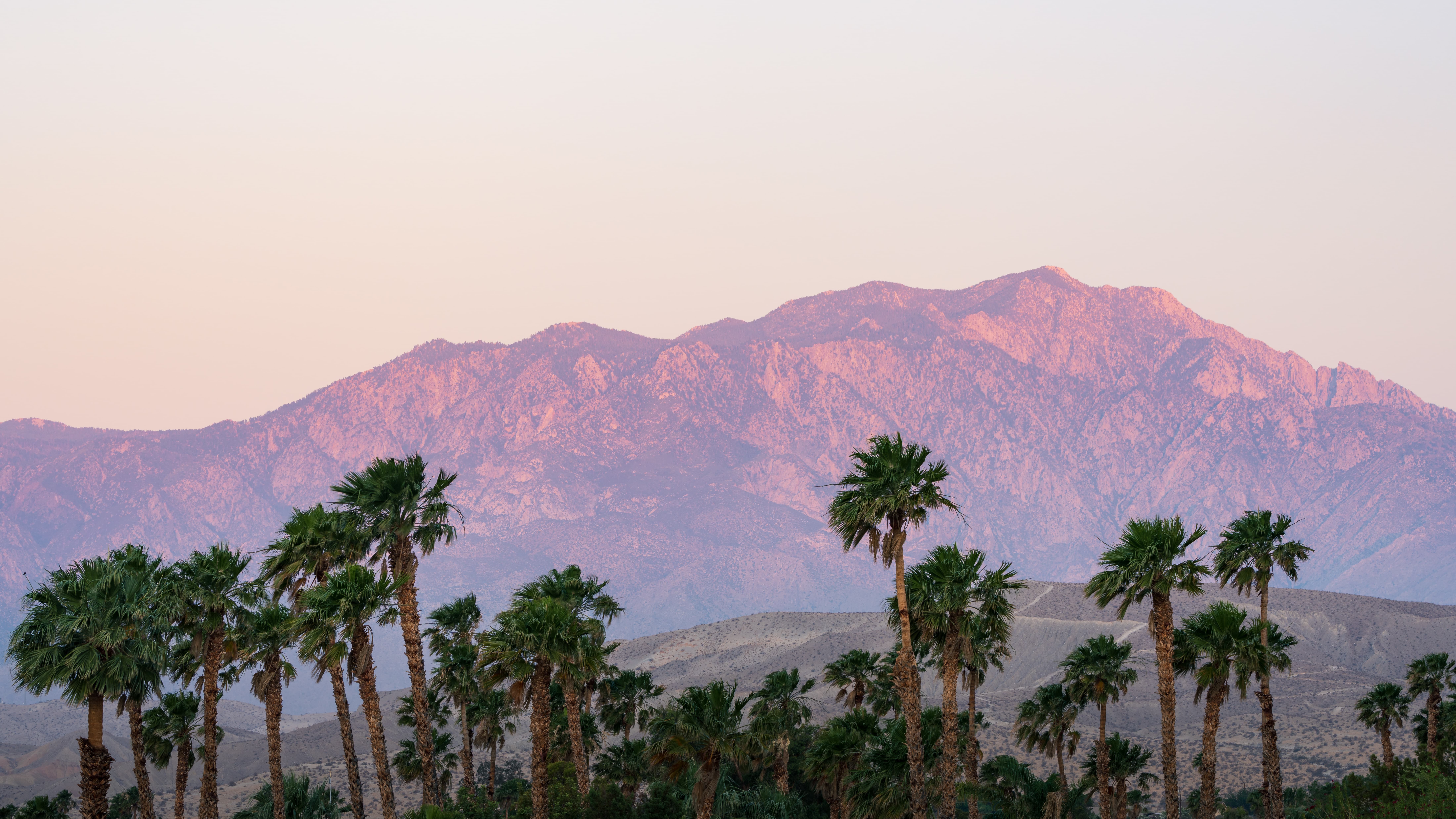 Area Hydration & Aesthetics client reviews, Palm Desert, CA