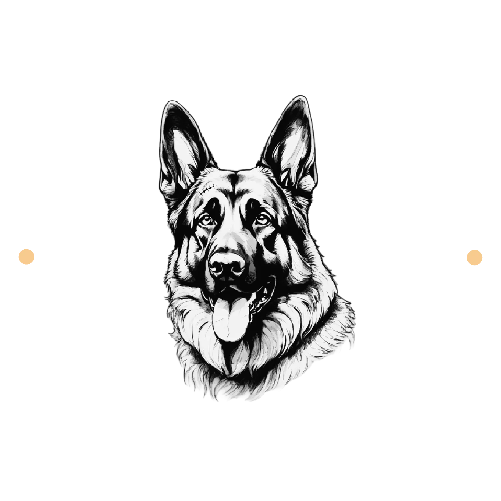 Wild Shepherd Landscapes