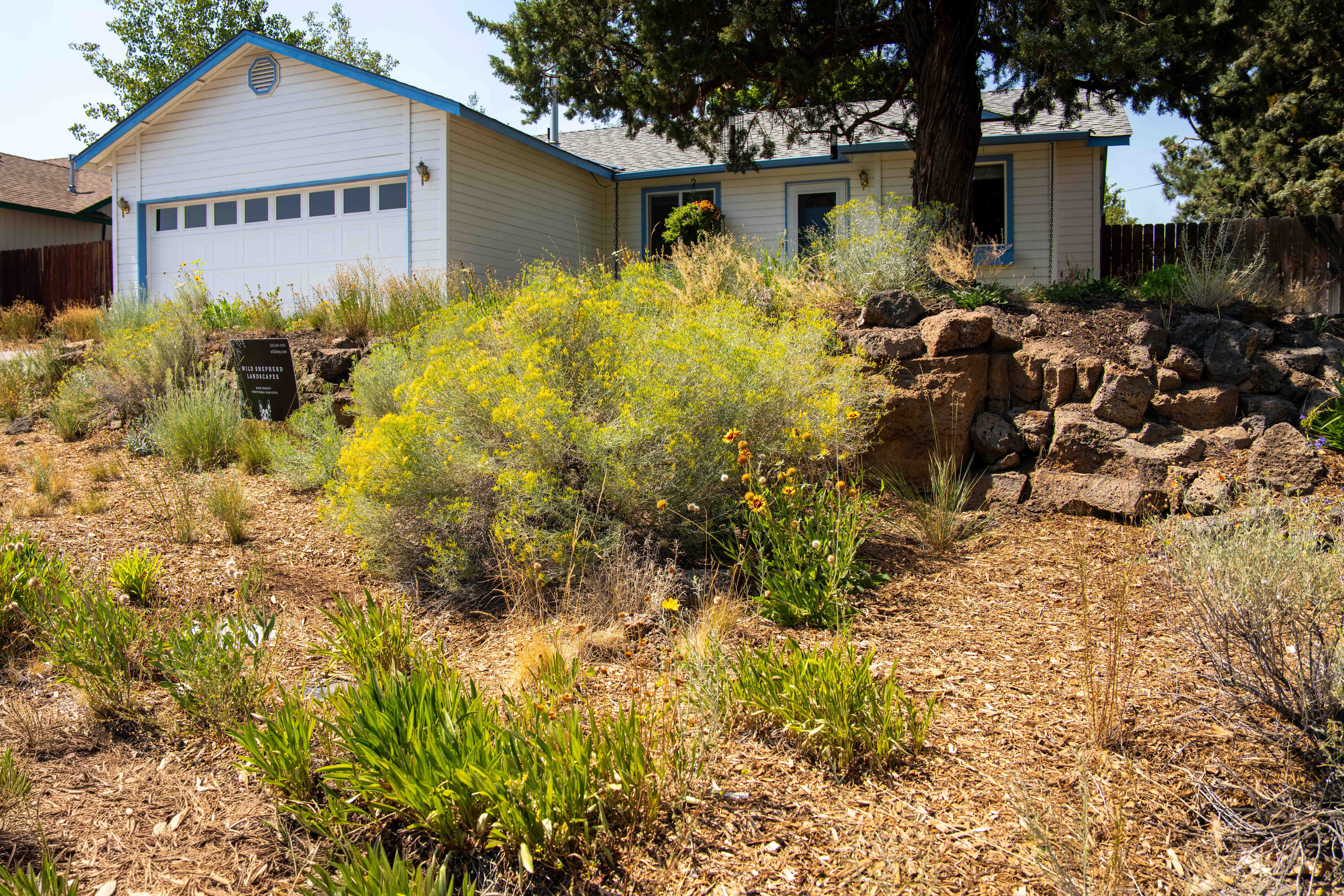 High Desert Landscape Design-Build
