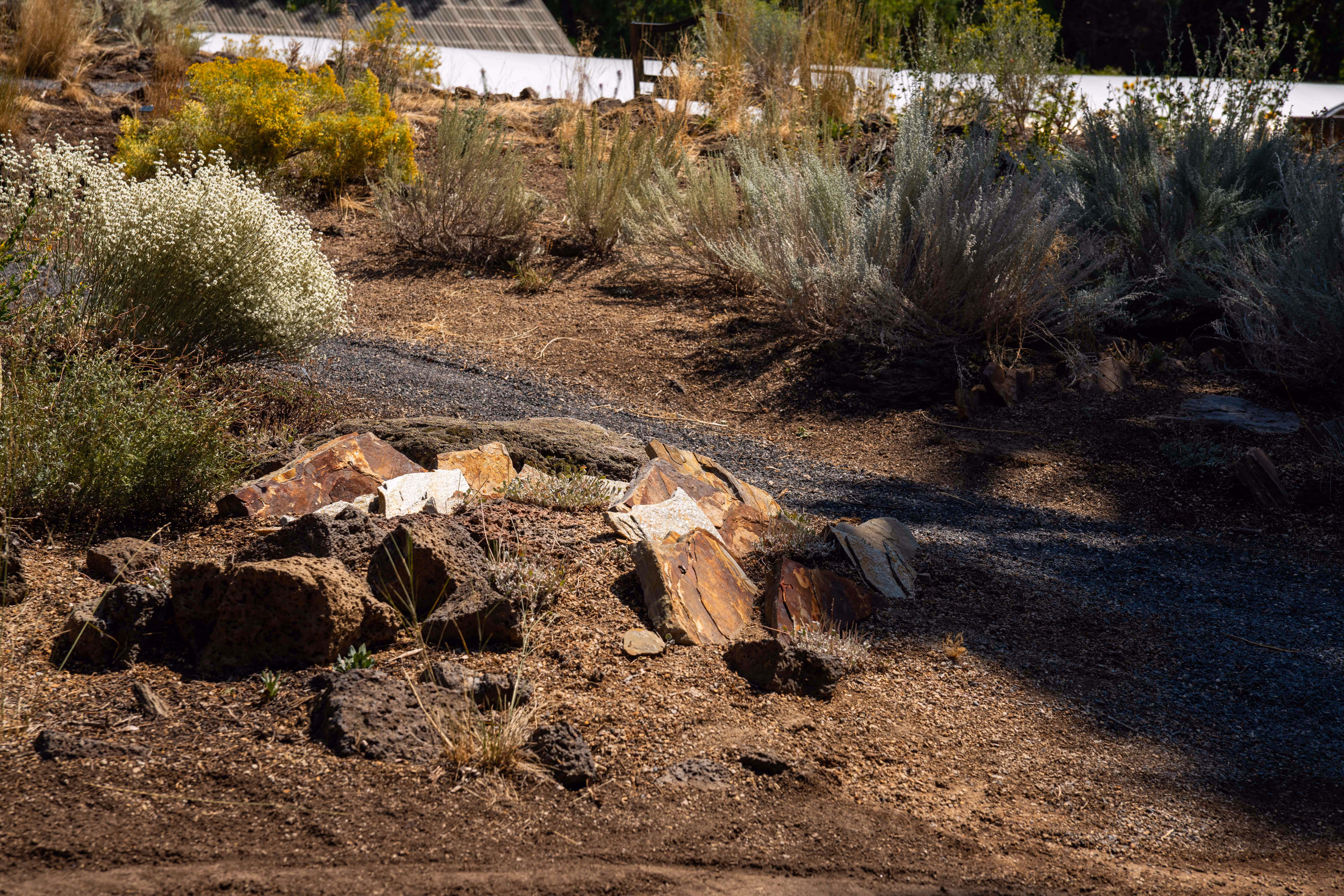 Custom Xeriscaping