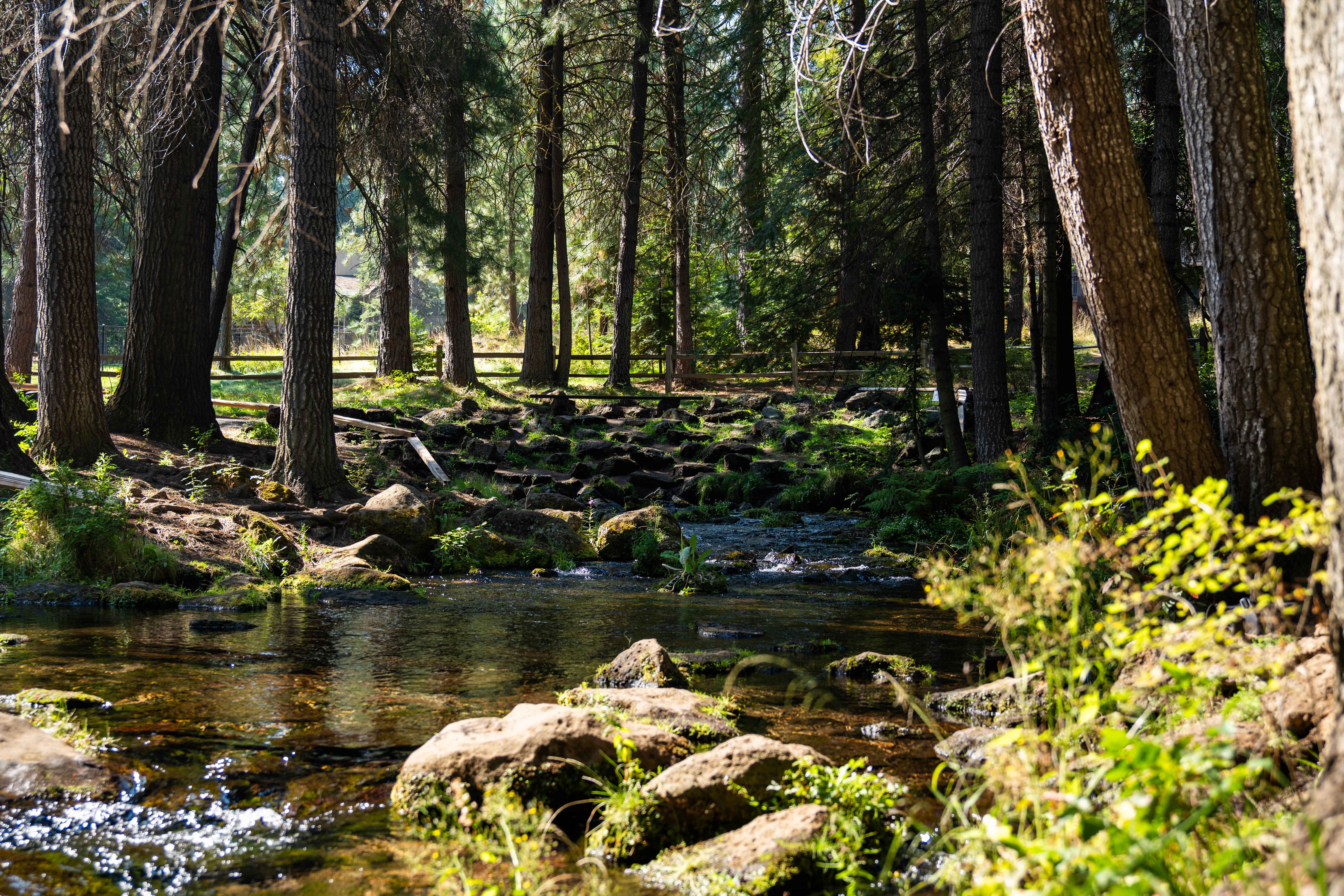 Native Habitat Restoration
