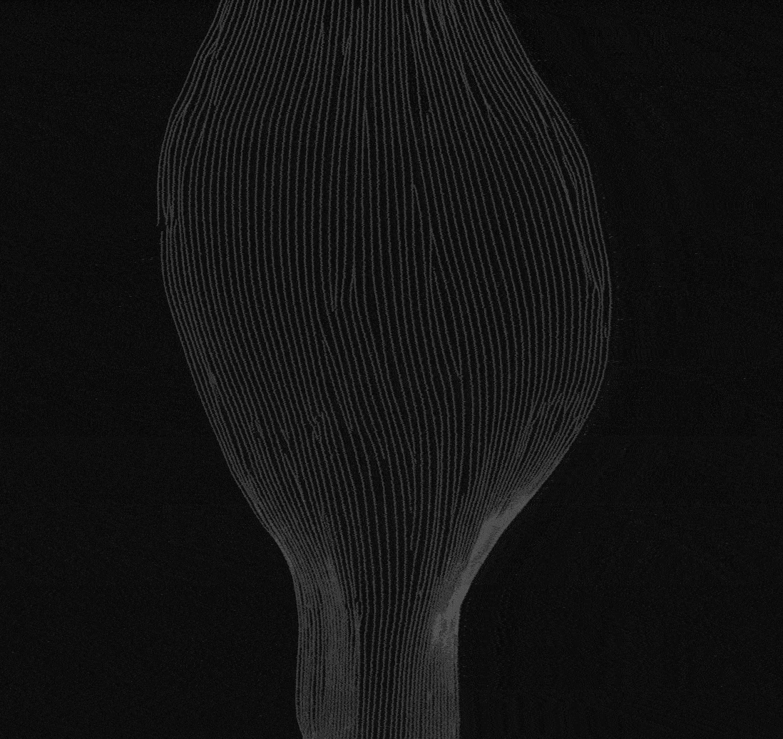 Dark abstract vertical shape with vertical light lines like a glowing organic structure or seed pod.