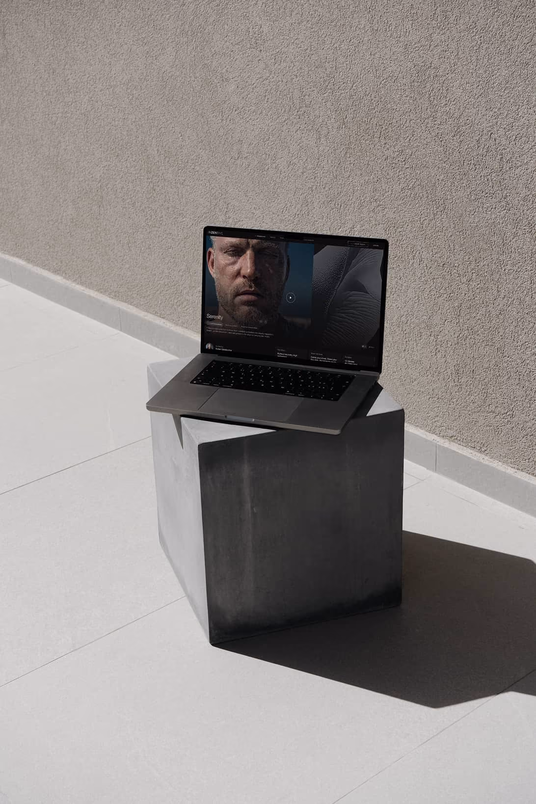 Inzentive Laptop preview
