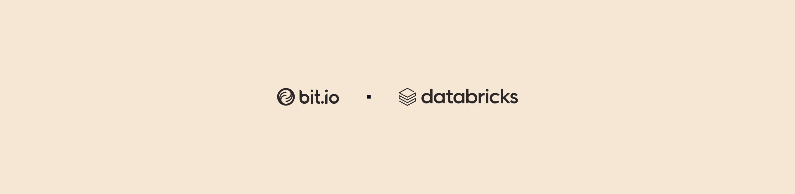 Bit.io and Databricks logos.