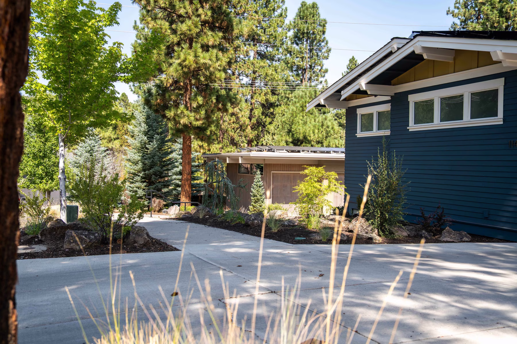 Residential Landscape 3