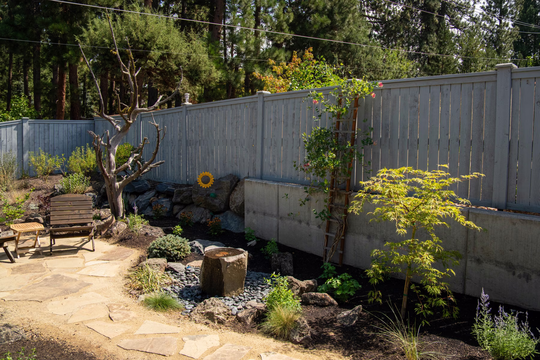 Residential Landscape 7