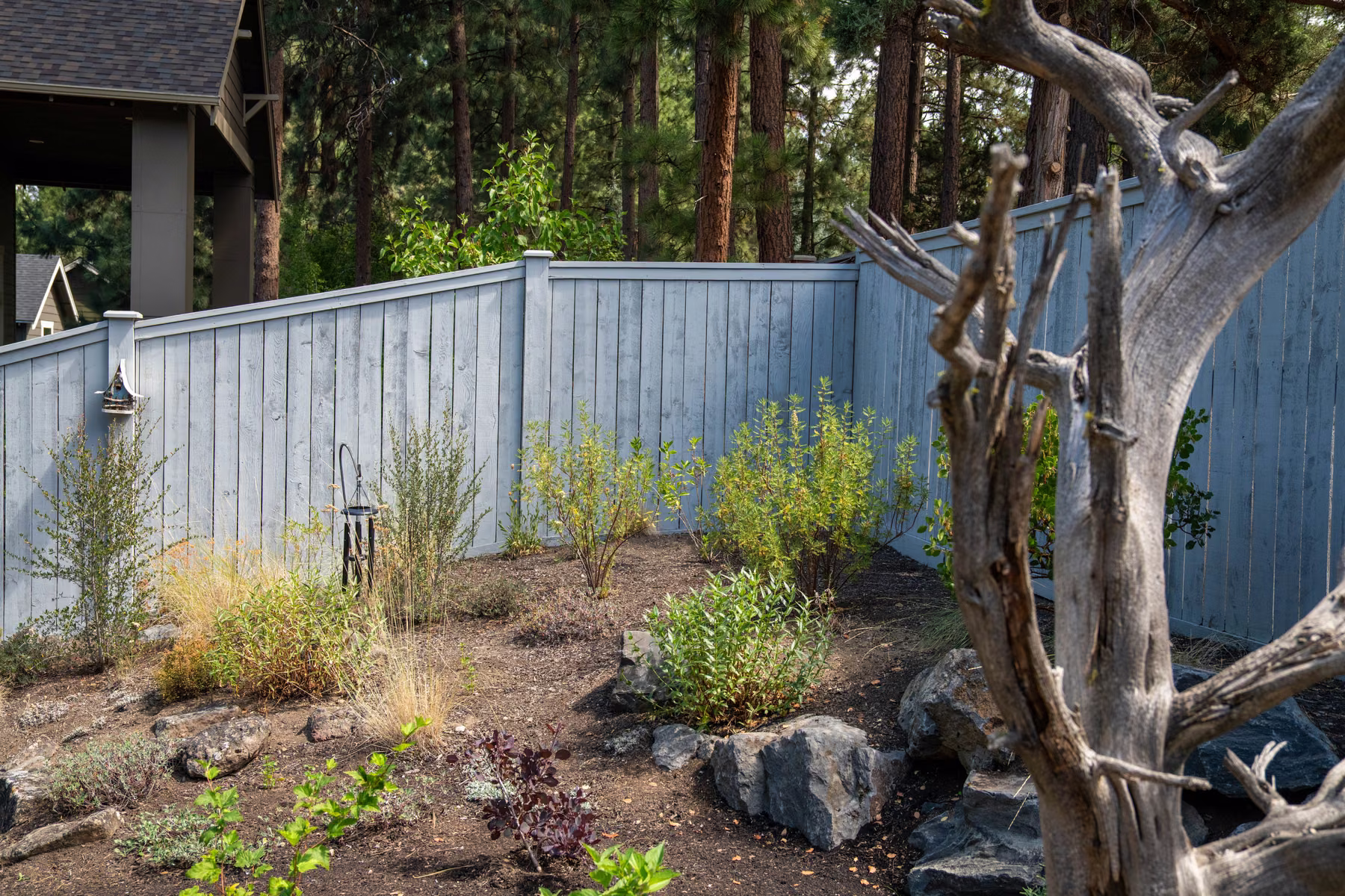 Residential Landscape 6