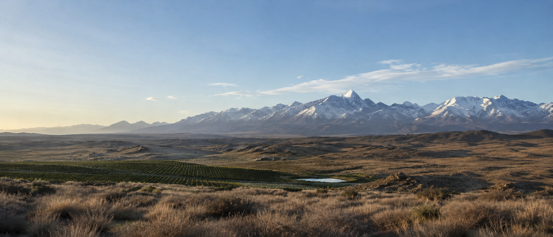 Patagonian wine landscape with vineyards and the Andes in Argentina