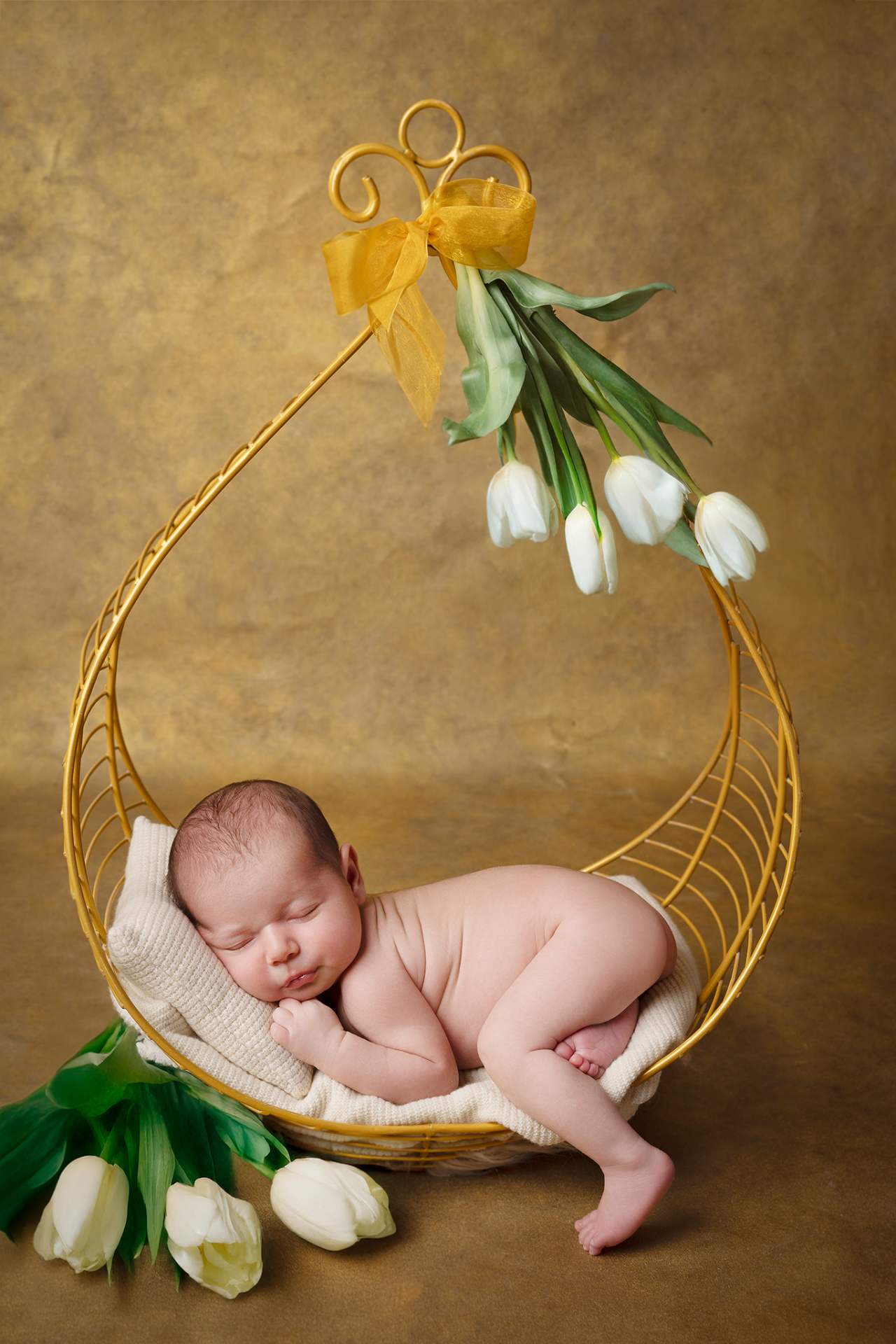Ritratto creativo di neonata addormentata in cesta dorata con tulipani bianchi, fotografata da Claudia Spaziani a Bologna. Immagine elegante e fiabesca che celebra la nascita.