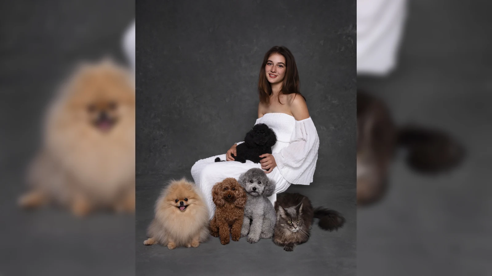 Ritratto in studio con cani e gatto