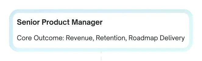A Senior Product Manager role broken into critical thinking, communication and execution, each scored in a measurement layer