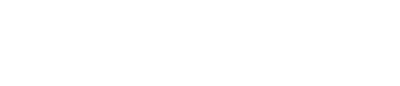 The New York Times Logo