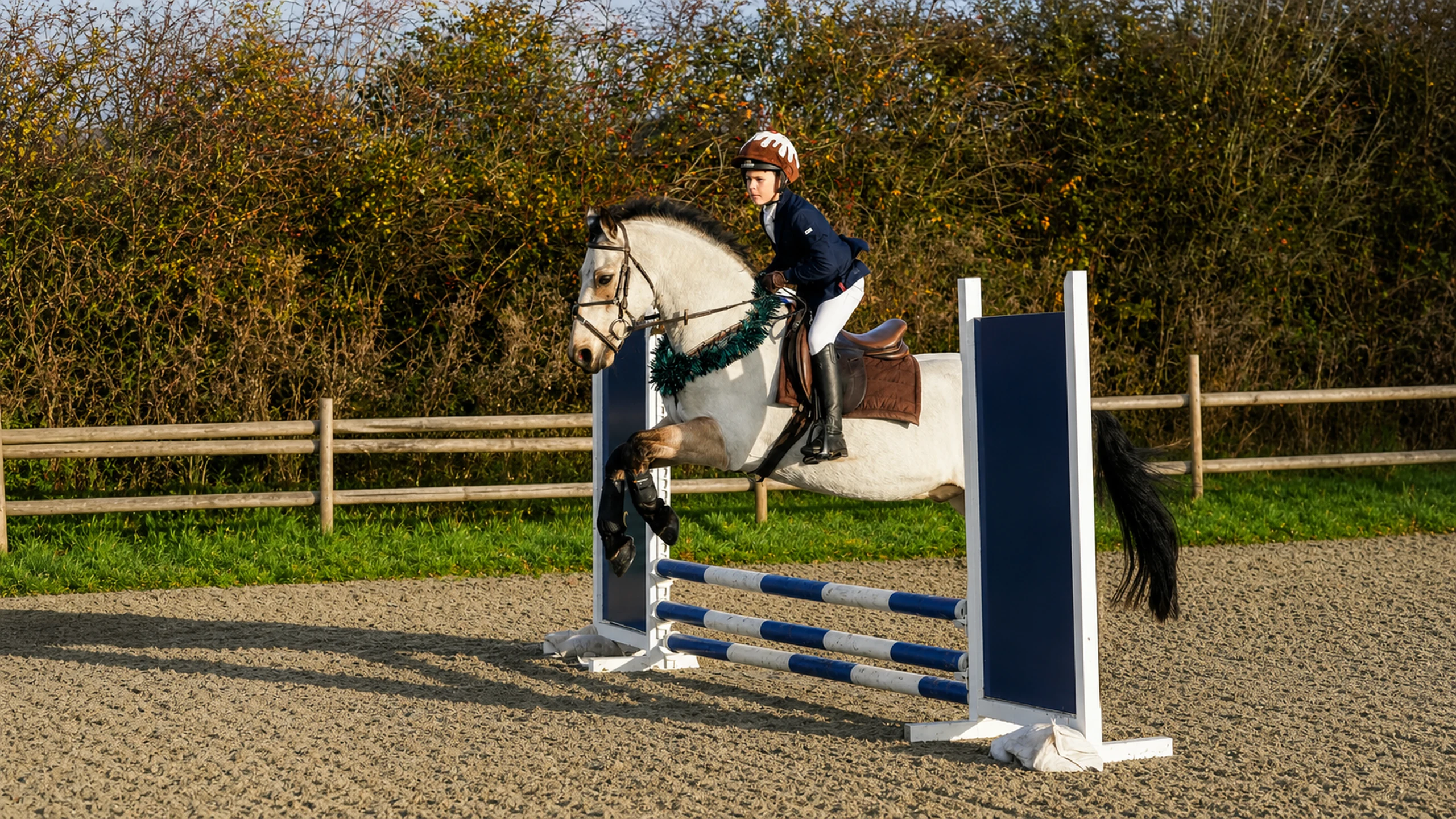 Horse and rider jumping at Stonehouse Equestrian