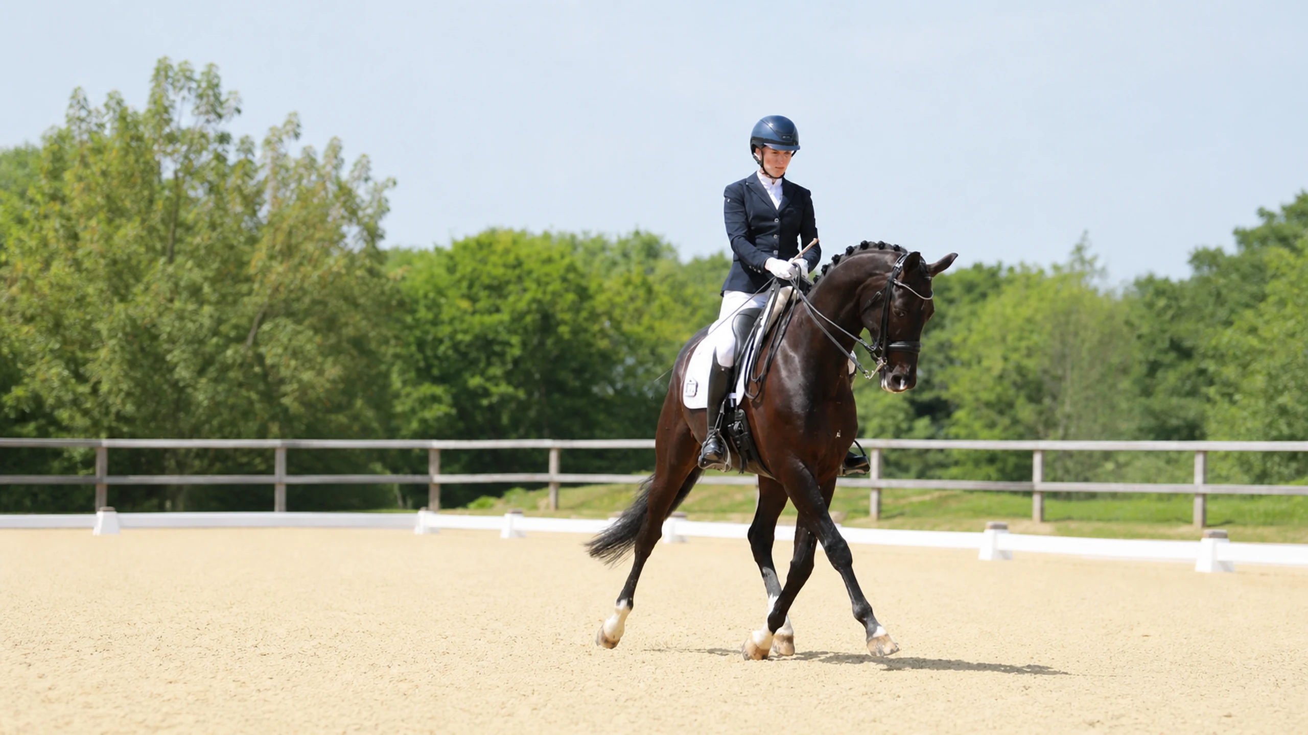 A rider schooling a horse at Stonehouse Equestrian