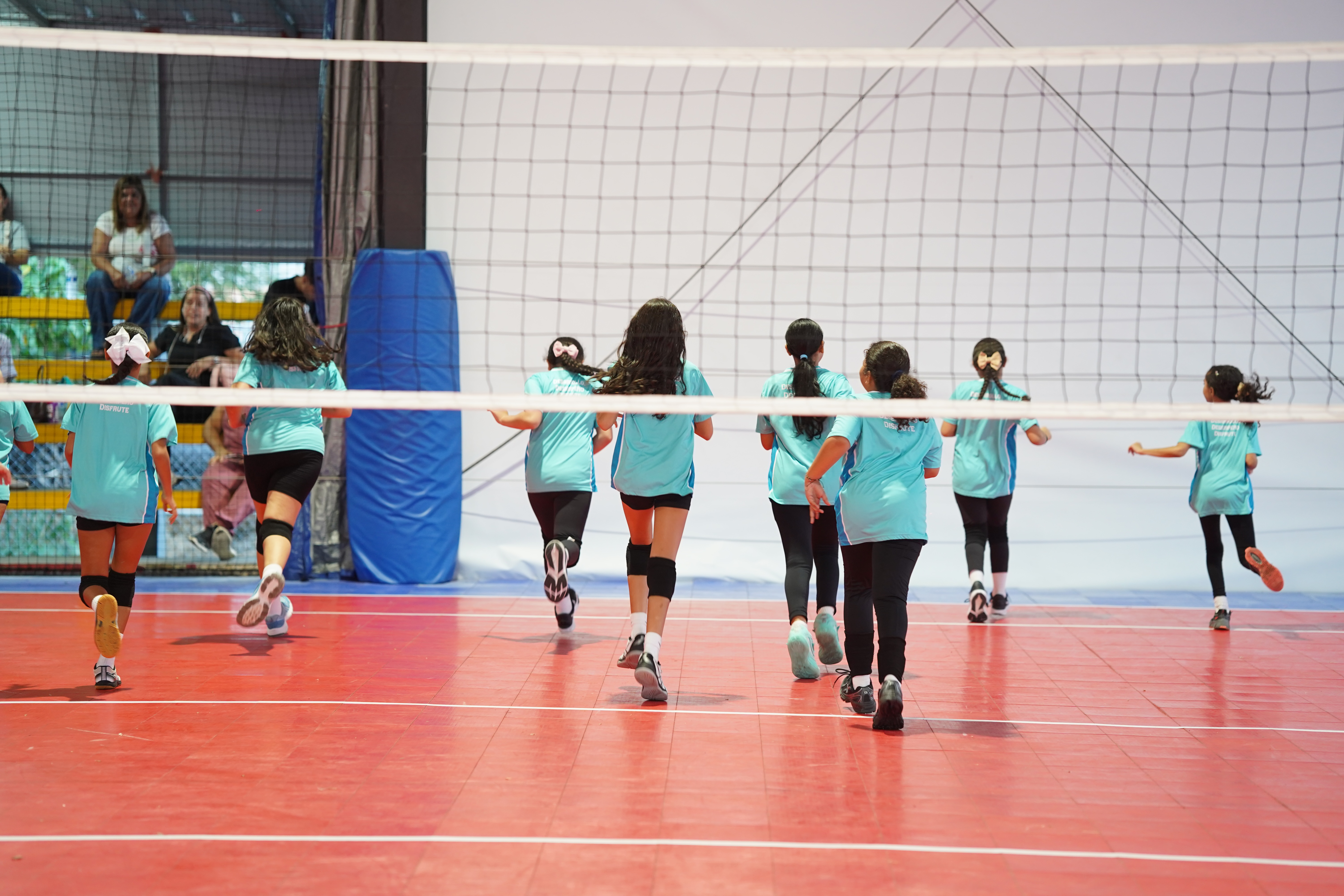 Equipo IVC