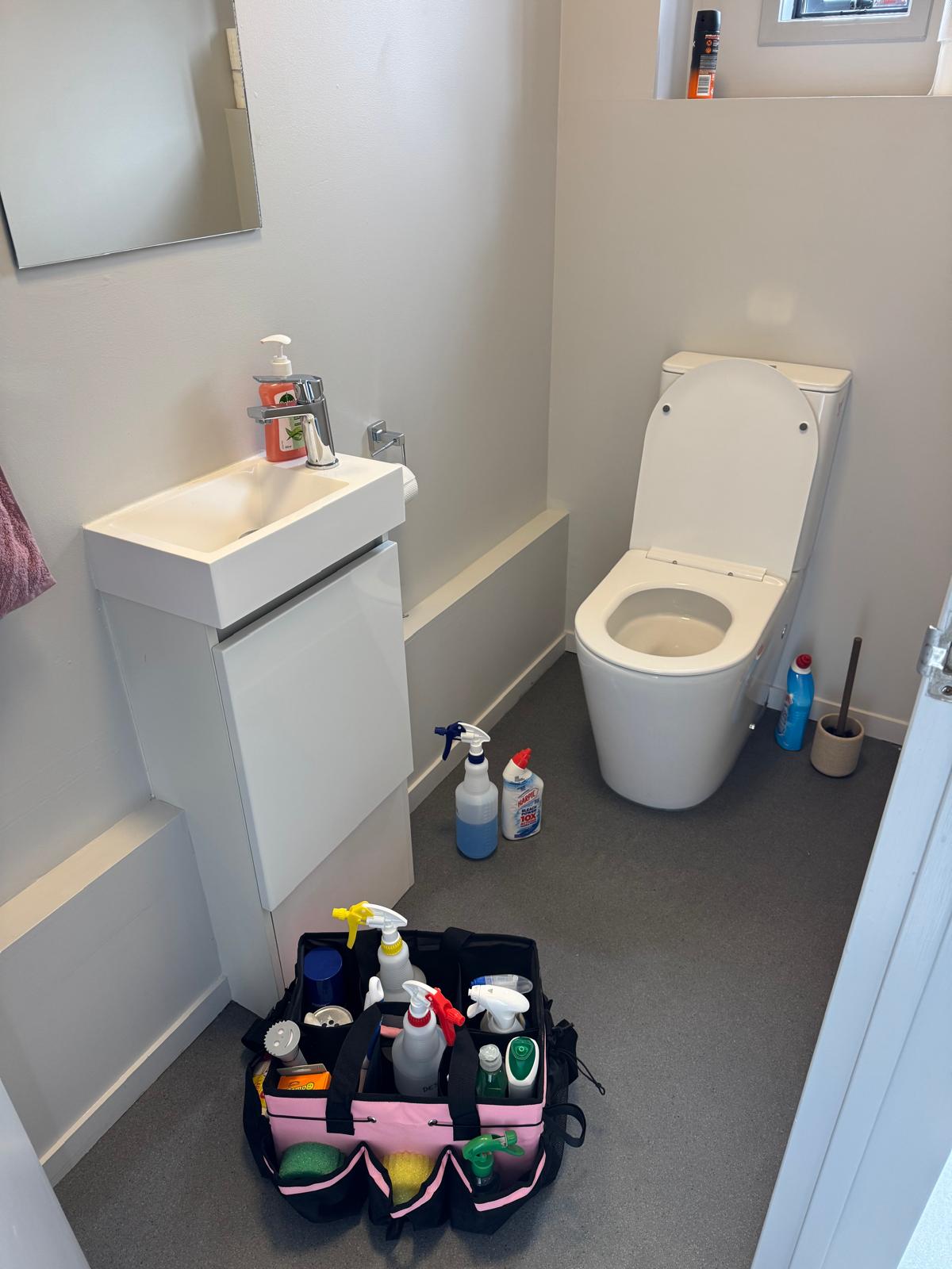Professional cleaner at work