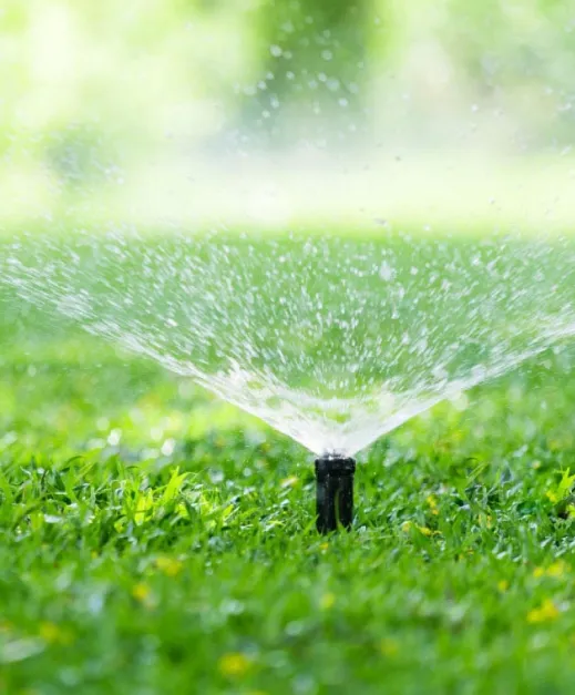 sprinkler on on green grass watering