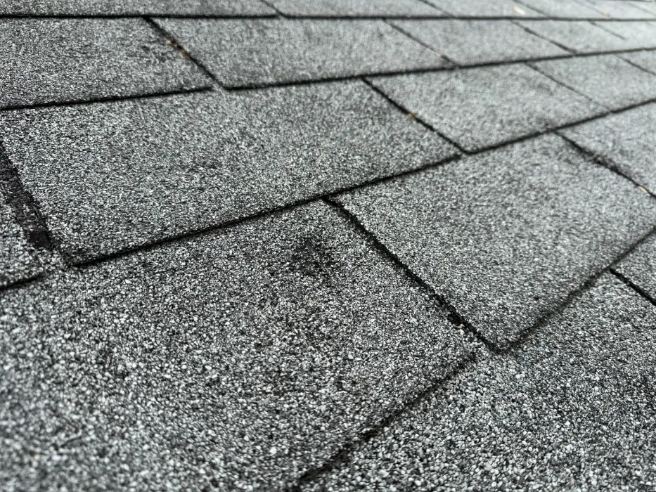 Shingle Hail Damage