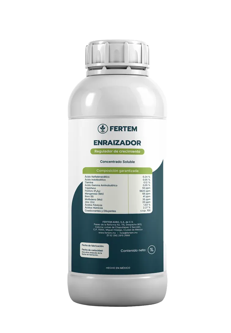 Envase de 1 litro de Enraizador FERTEM, regulador de crecimiento concentrado soluble